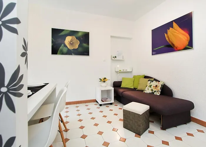 Concept ポレッチ