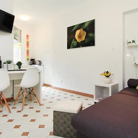 Apartment Concept