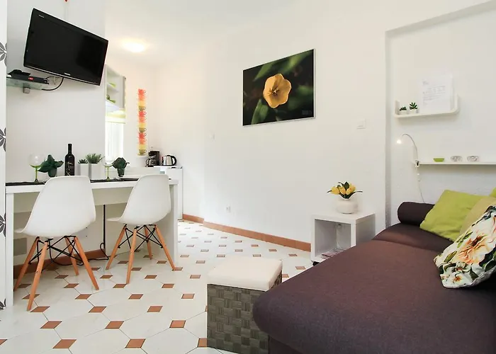 Apartament Concept