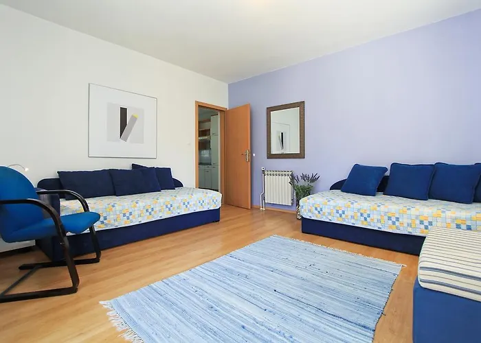 Apartament Concept *