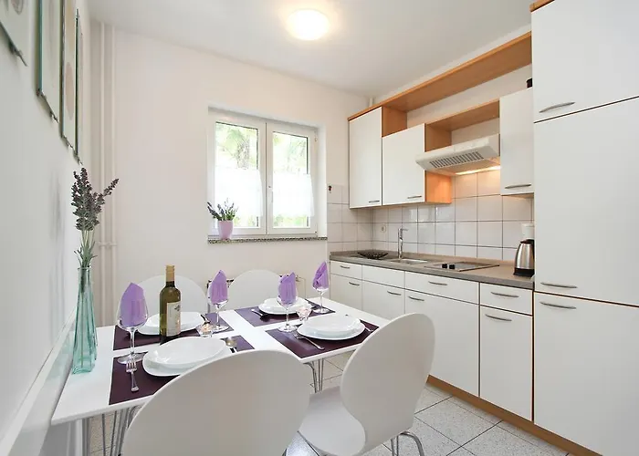 Apartament Concept *